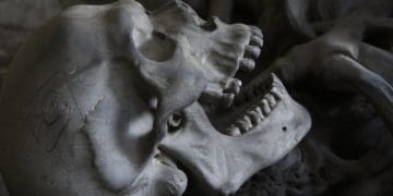 Скелет невідомого чоловіка, який помер півтора року тому, виявили на Кременеччині