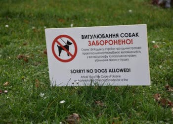 Не вигулювати собак у пісочницях на дитячих майданчиках просять у Ланівцях