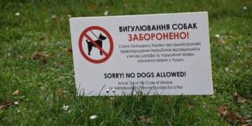Не вигулювати собак у пісочницях на дитячих майданчиках просять у Ланівцях