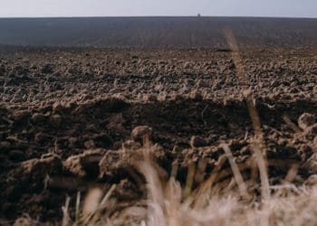 Майже 2 гектари землі у Вишнівецькій громаді успадкував громадянин росії