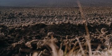 Майже 2 гектари землі у Вишнівецькій громаді успадкував громадянин росії