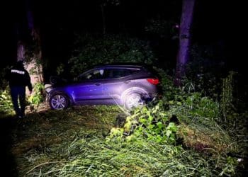 Водійка іномарки вночі не впоралась із керуванням і заїхала у кювет в Сухоставі