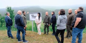 Обсяги висадки лісів збільшать на Тернопільщині цього року
