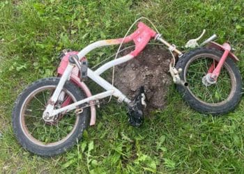 Малолітні мотоцикліст та велосипедист потрапили у ДТП в Плотичі  