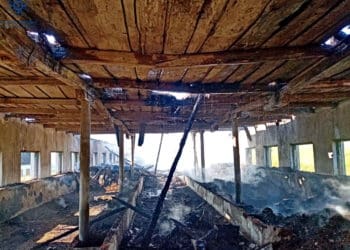 Масштабна пожежа виникла на території колишньої ферми у Підволочиській громаді (Фото)