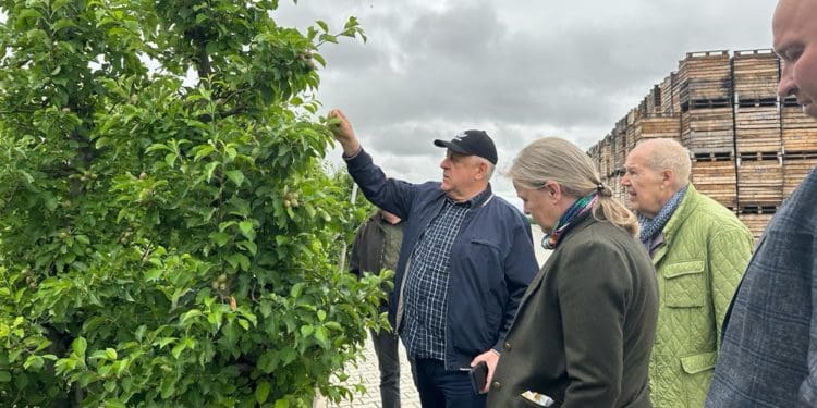 Засновники “Штерн Агро” відвідали із робочим візитом ФГ “Гадз”