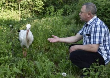 Три роки поранений Бузько живе в господарів на Теребовлянщині