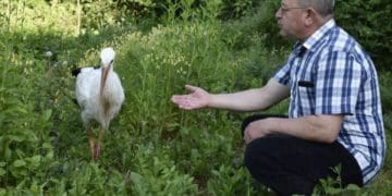 Три роки поранений Бузько живе в господарів на Теребовлянщині