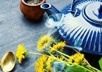 Корінь кульбаби: несподівана користь такої поширеної рослини