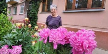 Понад 30 сортів квітів вирощує 76-річна тернополянка Марія Дзюбак