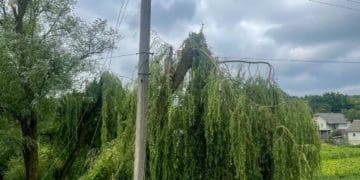 Повалені дерева та пошкоджені дахи допомагають прибрати після негоди на Чортківщині