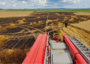 Три гектари пшениці згоріли на полі у Скалатській громаді