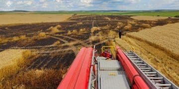 Три гектари пшениці згоріли на полі у Скалатській громаді