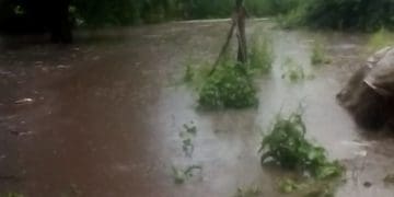 Село йде під воду у Підгаєцькій громаді