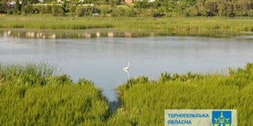 У Тернопільської міської ради відсудили 7 гектарів землі заказника “Серетський”