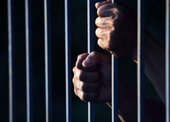 Реальний строк покарання отримав ухилянт на Кременеччині            