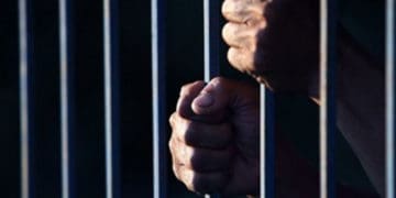 Реальний строк покарання отримав ухилянт на Кременеччині            