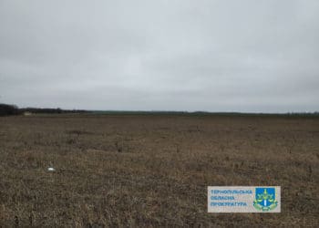 У росіянки конфіскують землю, що на території Золотопотіцької громади