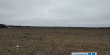 У росіянки конфіскують землю, що на території Золотопотіцької громади