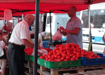 Сезон консервації: які ціна тернопільському ринку (Відео)