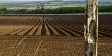 Суд розбиратиметься, як агропромислове підприємство на Бережанщині отримало понад 300 га землі