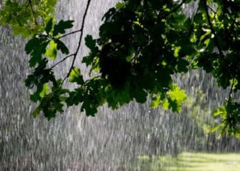 У Тернополі потоп через зливу