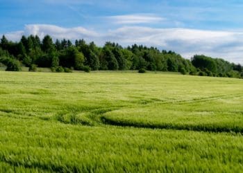 За шкідливі викиди судили аграрне підприємство на Тернопільщині