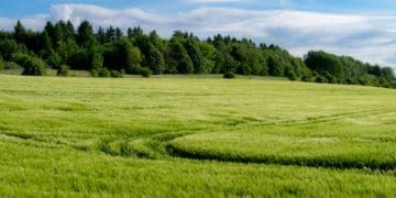 За шкідливі викиди судили аграрне підприємство на Тернопільщині