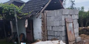 Стінна вагою майже пів тонни смертельно травмувала жительку Монастирищини