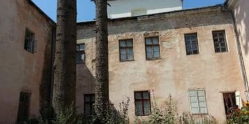 “Ці зрубані дерева мене просто вразили”: тернополянка обурюється знищенню смерек біля Катедри