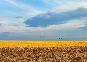 Один зі “100 геніїв сучасності” художник Іван Марчук захоплюється роботами фотокореспондента з Тернопільщини