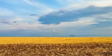 Один зі “100 геніїв сучасності” художник Іван Марчук захоплюється роботами фотокореспондента з Тернопільщини