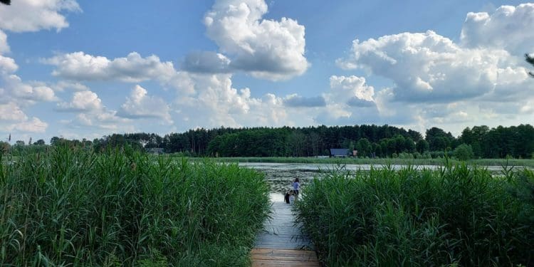 Потрійна подяка юних: «Опілля» допомогло провести християнський табір «Горлиця-2023»
