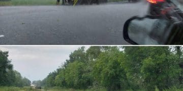 На Бучаччині буревій, перекинулася вантажівка, випав град (Фото, відео)