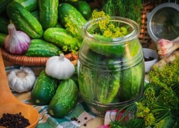 Малосольні огірки в банці: універсальний рецепт за 3 години і на зиму