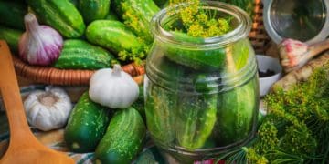 Малосольні огірки в банці: універсальний рецепт за 3 години і на зиму