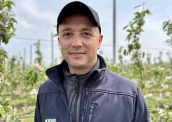 “Ціну на яблуко в Україні формує малий фермер”, – директор із садівництва “Гадз-Агро” Тарас Мельник