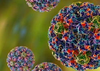 Що таке ВПЛ генотип 16?