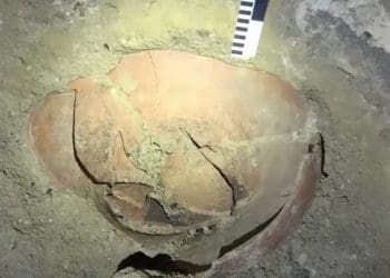 Трипільську старовину виявили археологи під час розкопок печери на Тернопільщині