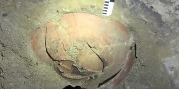 Трипільську старовину виявили археологи під час розкопок печери на Тернопільщині