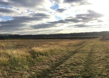 Невитрибувані паї, непереоформлена спадщина: ексрадник міністра МВС з Тернопільщини про законопроект щодо держземель