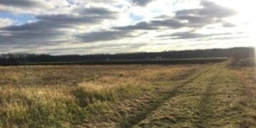 Невитрибувані паї, непереоформлена спадщина: ексрадник міністра МВС з Тернопільщини про законопроект щодо держземель