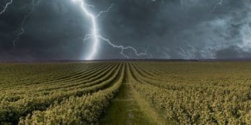 У найближчі півгодини на Тернопільщині очікують грози