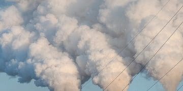 З аграрного підприємства на Тернопільщині стягнули сотні тисяч за шкоду довкіллю