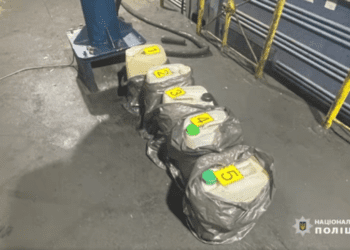 крали дизпаливо