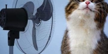 Спекотні вихідні до +35 градусів прогнозують на Тернопільщині