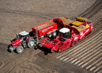 збір картоплі контінентал