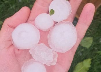 У Копичинцях шукають фінансування, аби допомогти постраждалим від граду