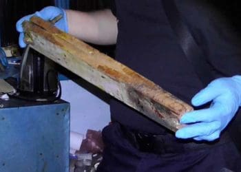 П’яна сварка між братами завершилась смертю на Тернопільщині