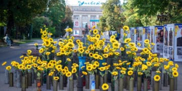 соняхи пам'яті